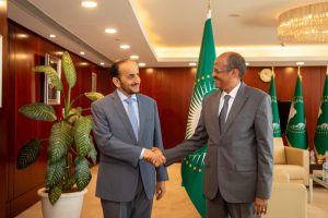 AU Commission Chairperson receives Political Undersecretary