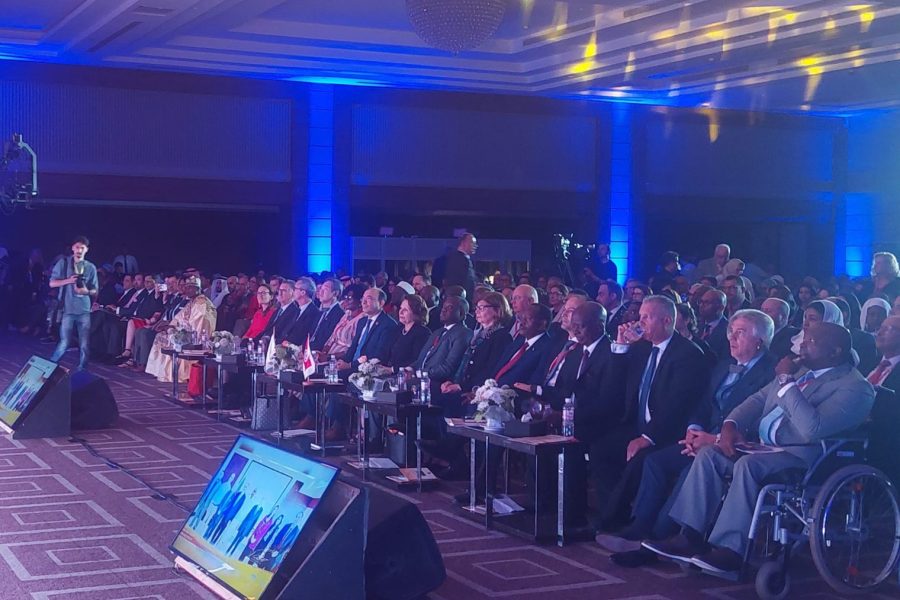 Deputy head of Mission at Africa Investment Forum Deputy head of Mission at Africa Investment Forum