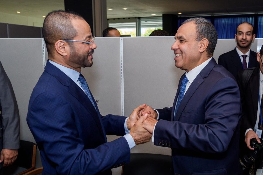 Minister meets Egyptian counterpart in New York Minister meets Egyptian counterpart in New York
