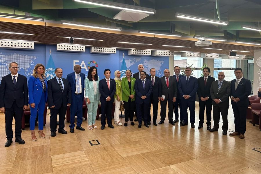 Italy: Head of Mission Discusses Situation in Palestine and Sudan in Meeting with FAO Director and Arab Ambassadors Italy: Head of Mission Discusses Situation in Palestine and Sudan in Meeting with FAO Director and Arab Ambassadors