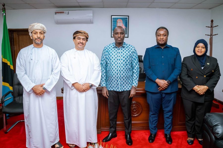 Tanzania: Ambassador received by Deputy Prime Minister and Minister of Energy Tanzania: Ambassador received by Deputy Prime Minister and Minister of Energy