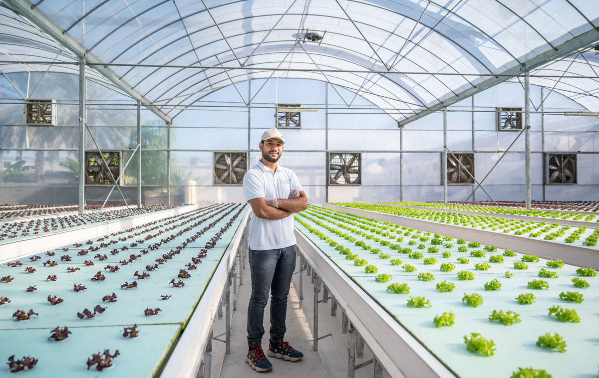 محمد الكندي