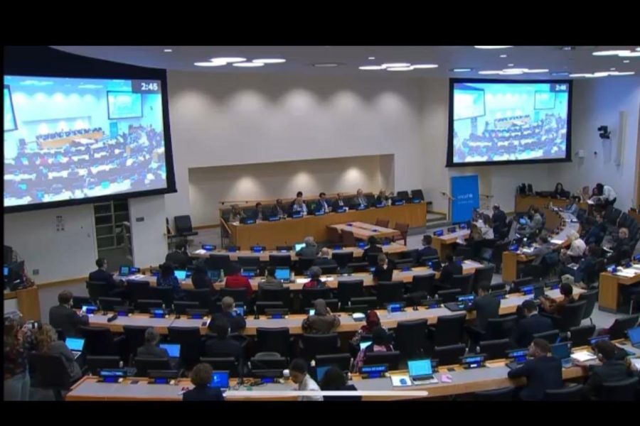 New York: Oman participates in UNICEF session New York: Oman participates in UNICEF session