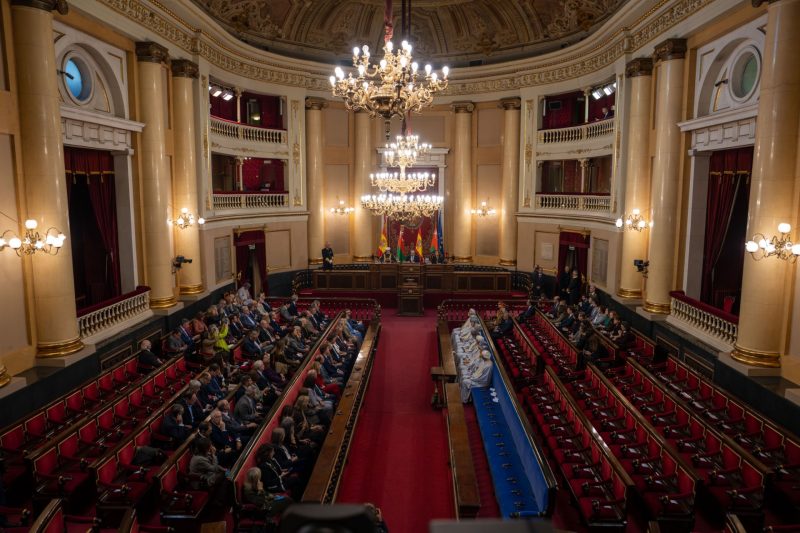 His Majesty addresses Spanish Senate in main hall of Senate building
