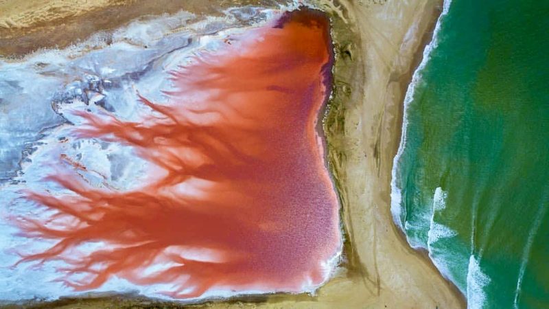 Oman nature: the pink lakes of Al Jazer