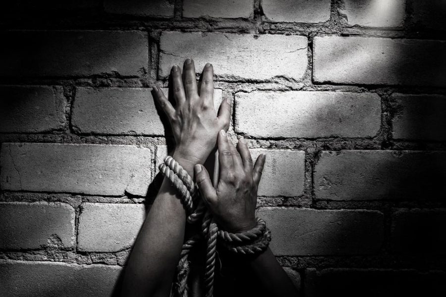 moi146860426 Tomorrow, the Sultanate of Oman joins the countries of the world in celebrating the World Day against Human Trafficking