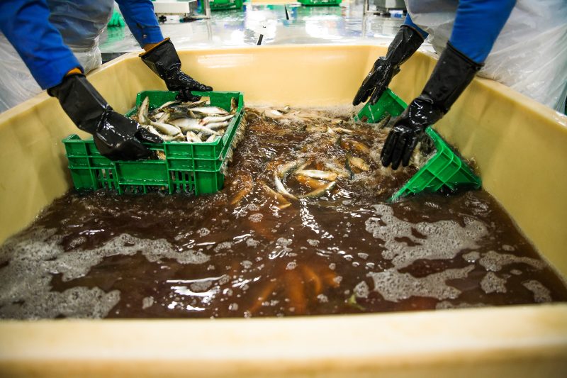 تنفيذ أكثر من 100 مشروع ومُنجز وطني منذ انطلاق رؤية عُمان 2040