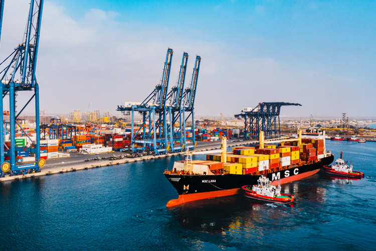 Oman and Lebanon: developing bilateral relations